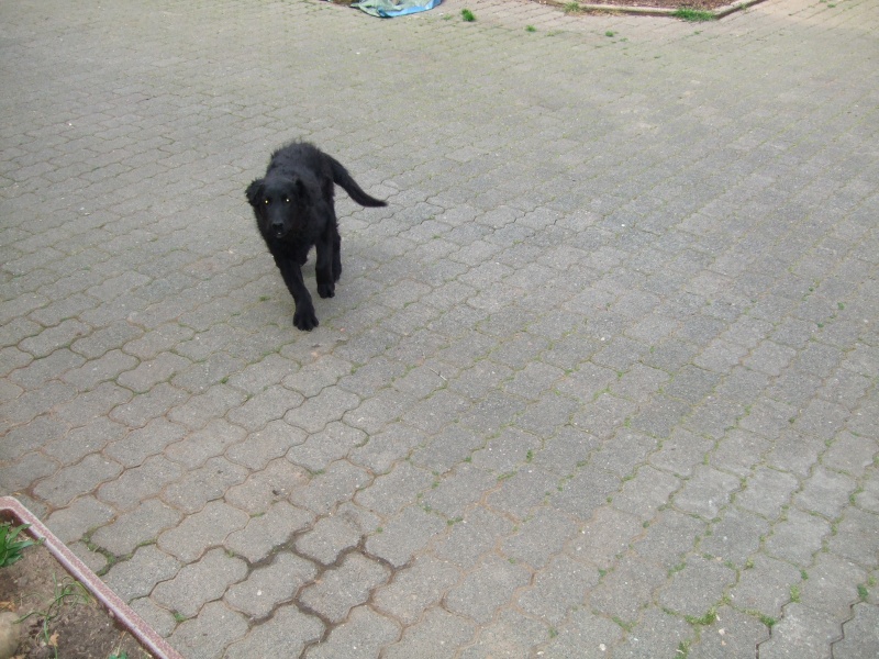 Ostern 2007 Orleshausen 006 